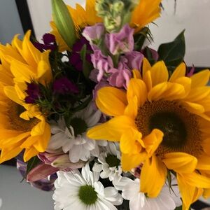 Meet your Posher, Lucy